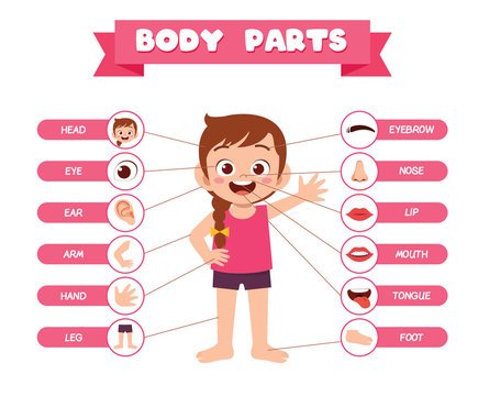 Body Parts Names